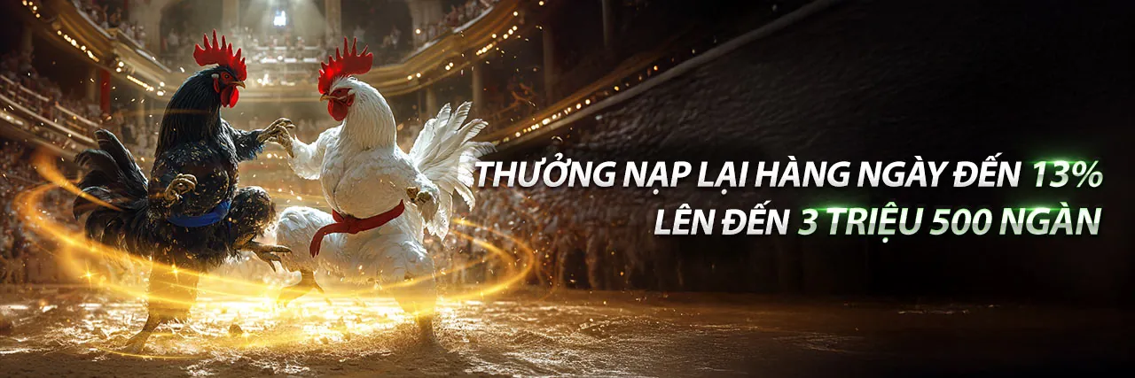 Hình ảnh chính về Điều khoản Dịch vụ của vn58 bet