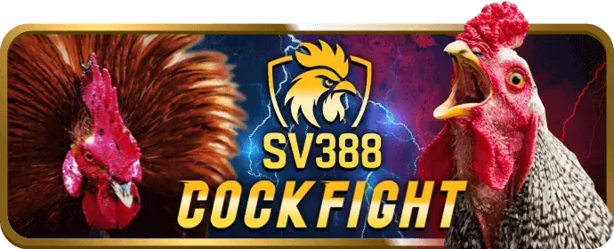 Hoàn trả hàng ngày/tuần tại vn58 bet